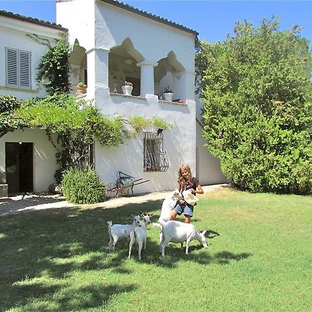 Agriturismo "Borgo Madonna Degli Angeli" - Charming Cottages In The Gardens ! Tocco da Casauria Dış mekan fotoğraf
