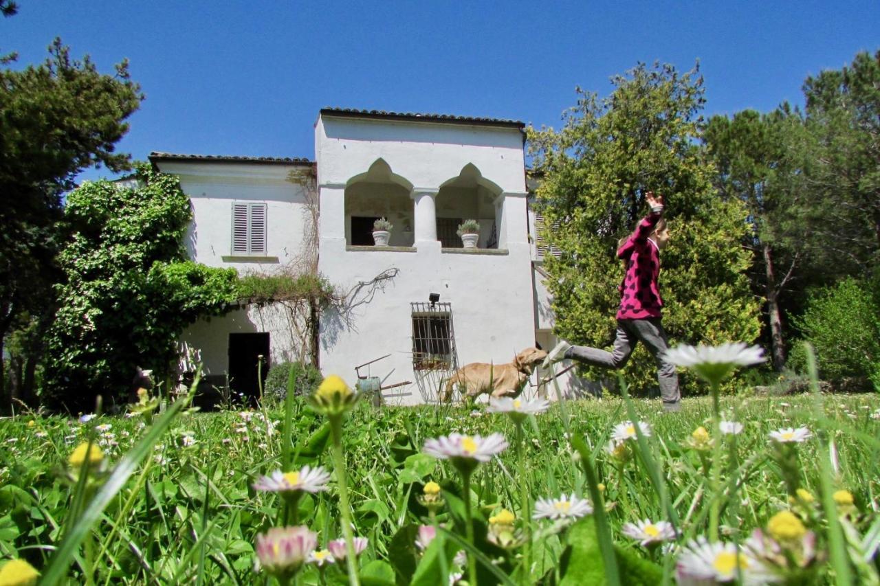 Agriturismo "Borgo Madonna Degli Angeli" - Charming Cottages In The Gardens ! Tocco da Casauria Dış mekan fotoğraf
