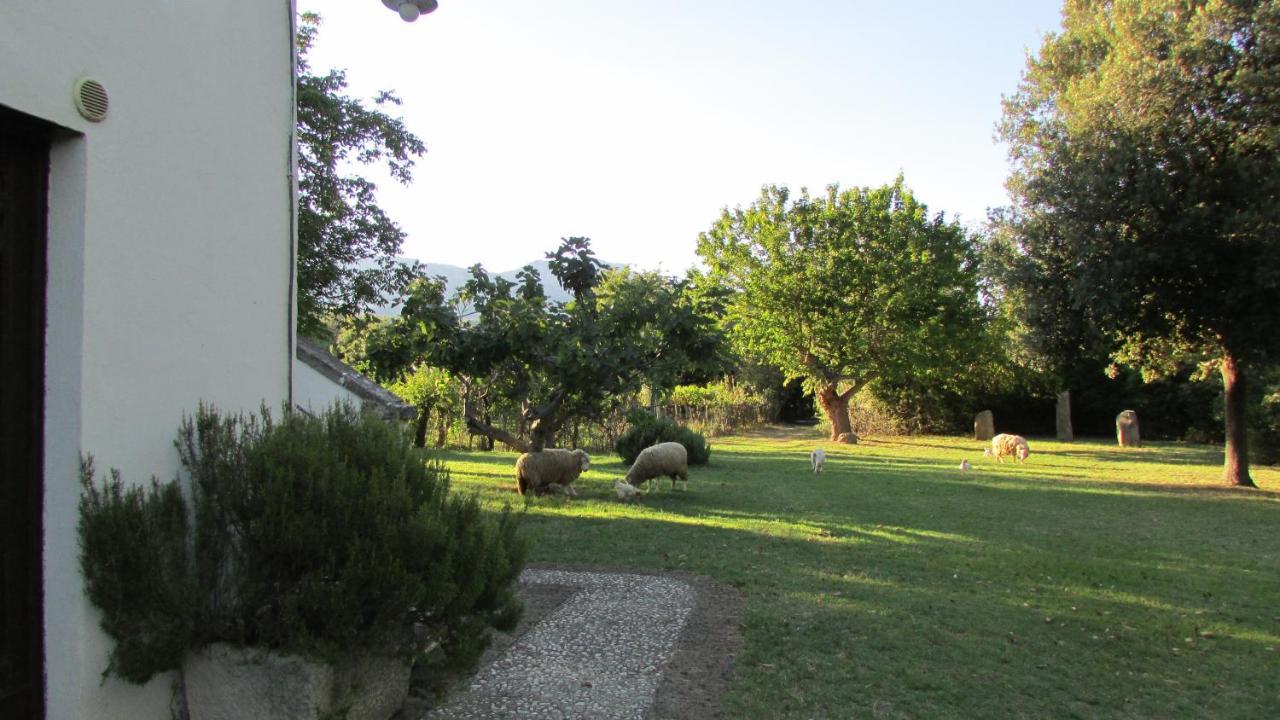 Agriturismo "Borgo Madonna Degli Angeli" - Charming Cottages In The Gardens ! Tocco da Casauria Dış mekan fotoğraf