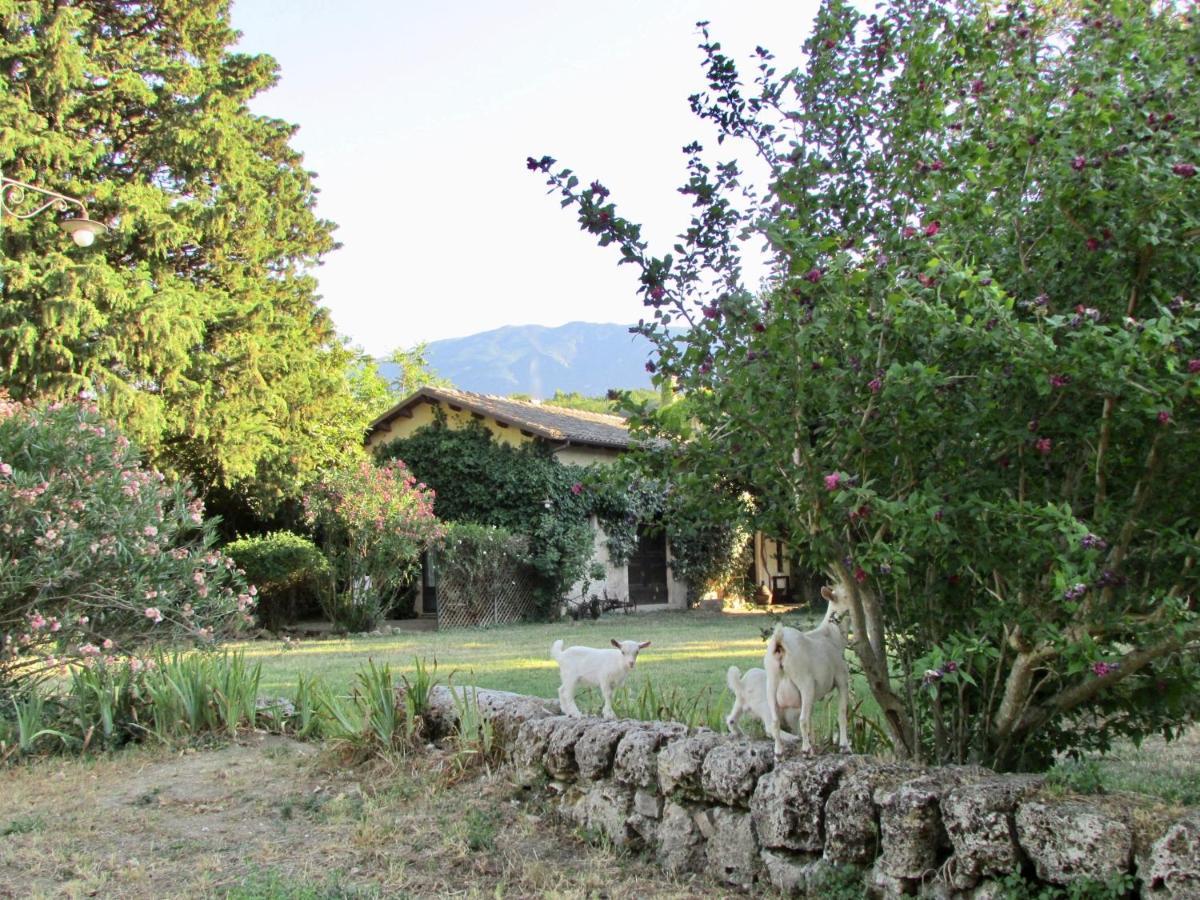 Agriturismo "Borgo Madonna Degli Angeli" - Charming Cottages In The Gardens ! Tocco da Casauria Dış mekan fotoğraf