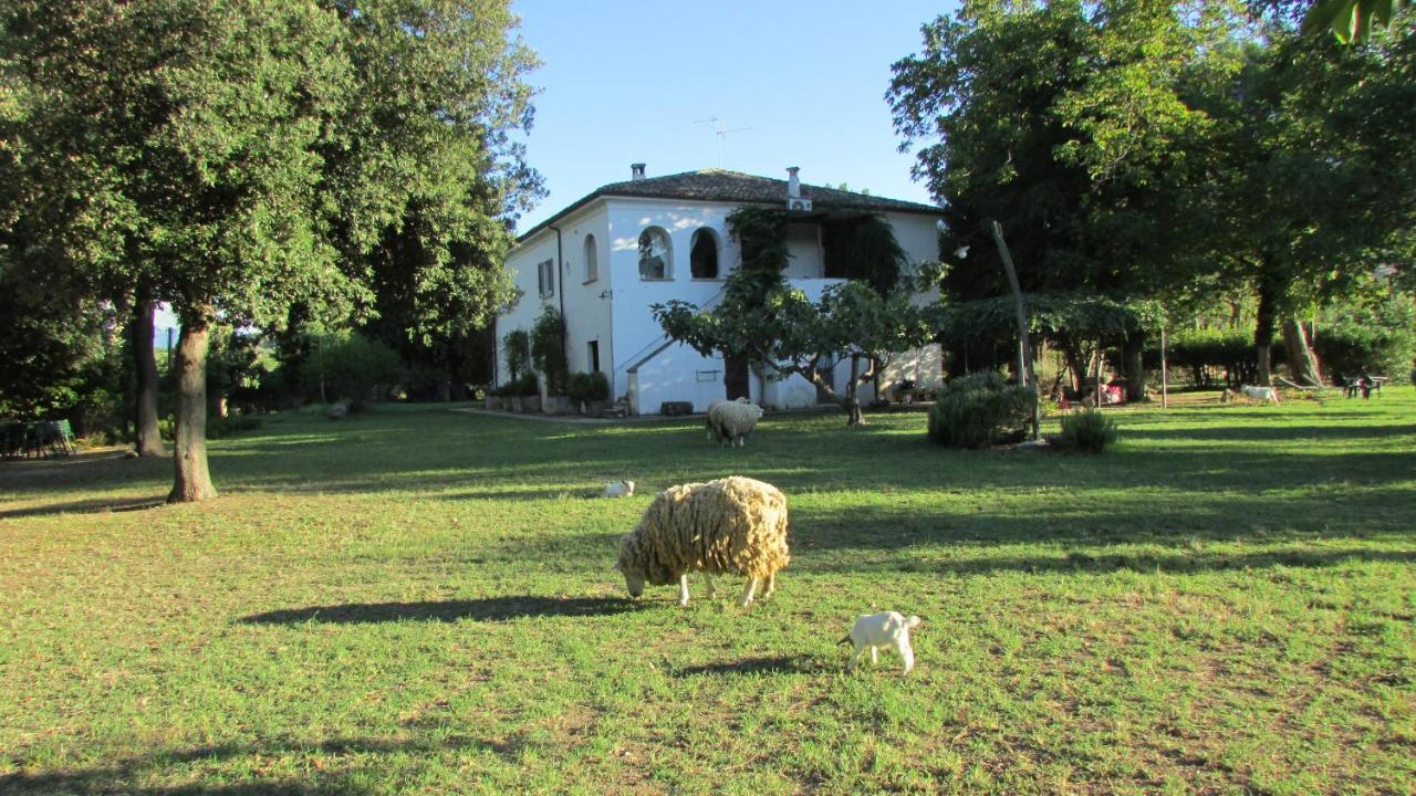 Agriturismo "Borgo Madonna Degli Angeli" - Charming Cottages In The Gardens ! Tocco da Casauria Dış mekan fotoğraf