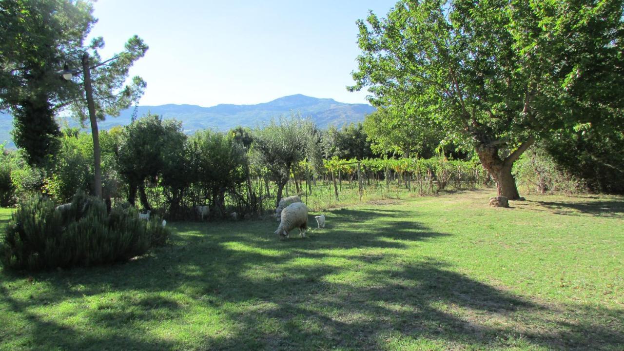 Agriturismo "Borgo Madonna Degli Angeli" - Charming Cottages In The Gardens ! Tocco da Casauria Dış mekan fotoğraf