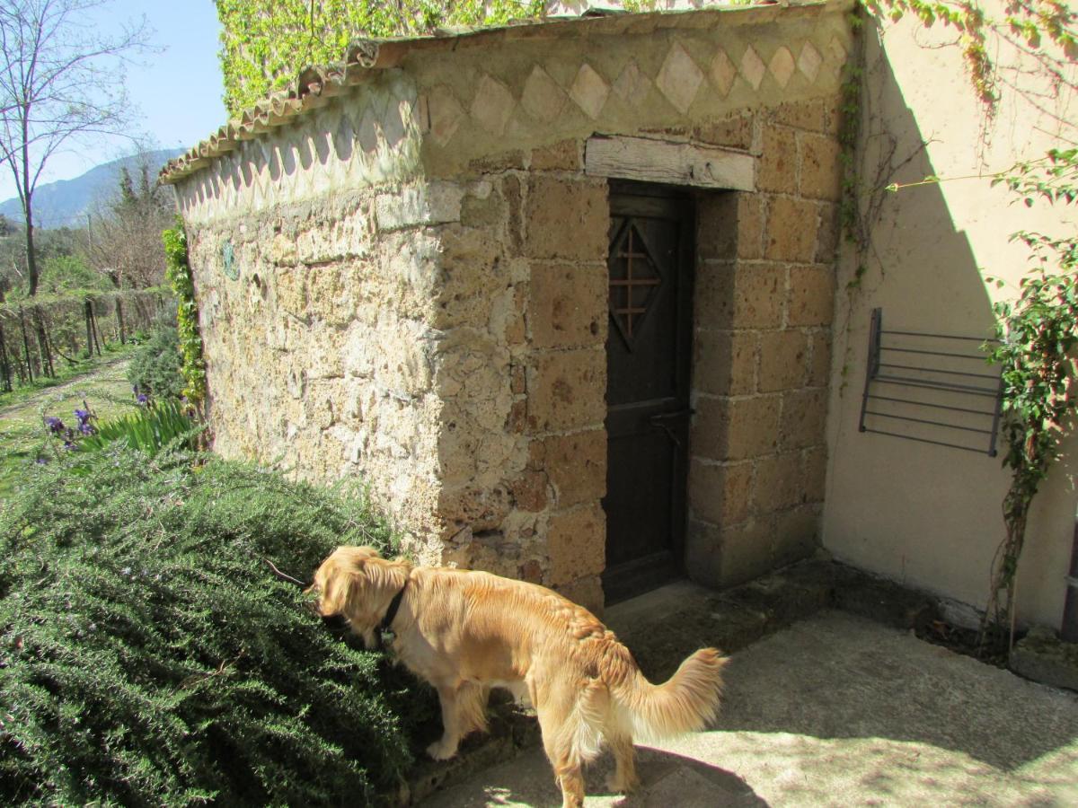 Agriturismo "Borgo Madonna Degli Angeli" - Charming Cottages In The Gardens ! Tocco da Casauria Dış mekan fotoğraf