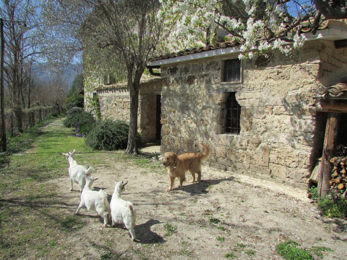 Agriturismo "Borgo Madonna Degli Angeli" - Charming Cottages In The Gardens ! Tocco da Casauria Dış mekan fotoğraf