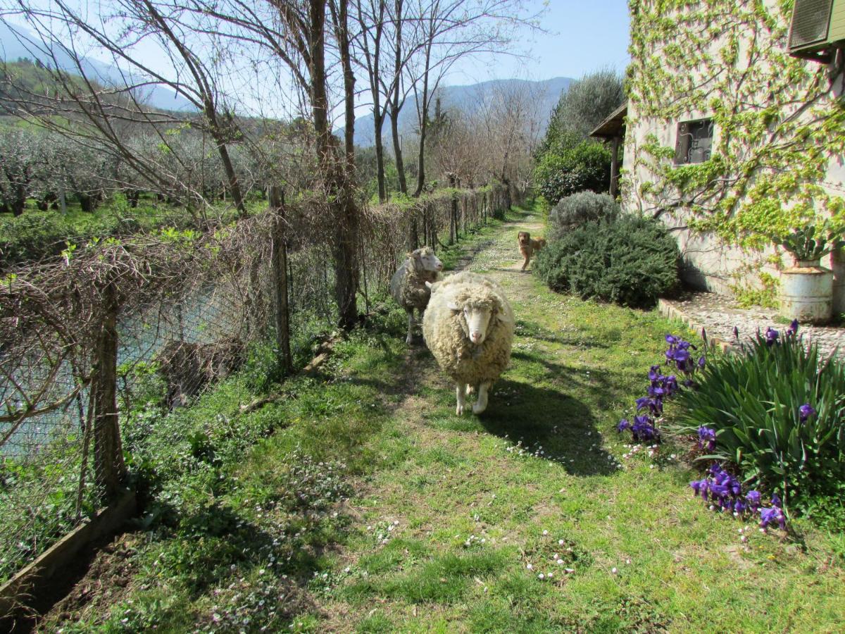 Agriturismo "Borgo Madonna Degli Angeli" - Charming Cottages In The Gardens ! Tocco da Casauria Dış mekan fotoğraf
