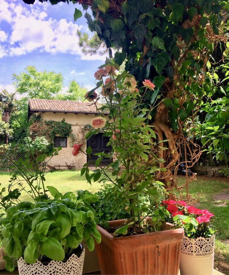 Agriturismo "Borgo Madonna Degli Angeli" - Charming Cottages In The Gardens ! Tocco da Casauria Dış mekan fotoğraf