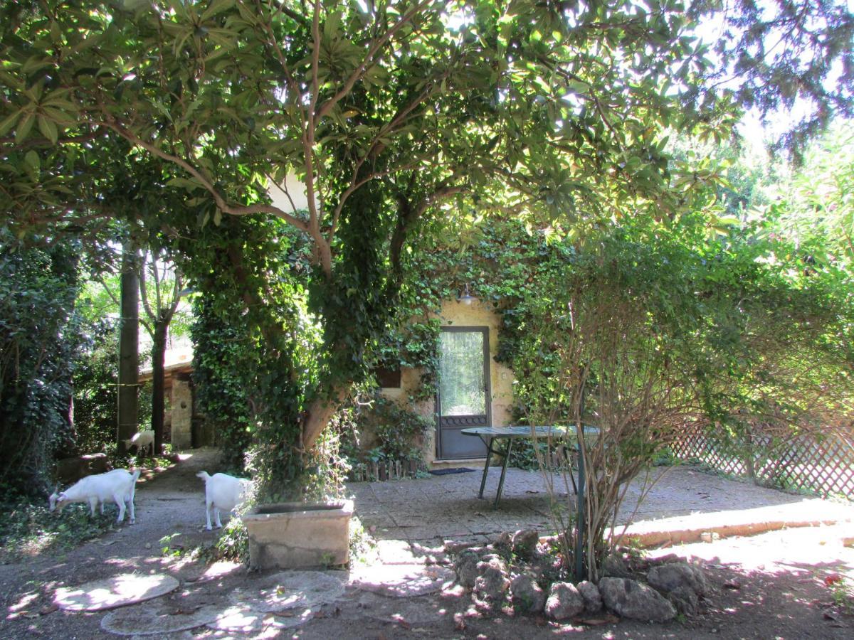 Agriturismo "Borgo Madonna Degli Angeli" - Charming Cottages In The Gardens ! Tocco da Casauria Dış mekan fotoğraf