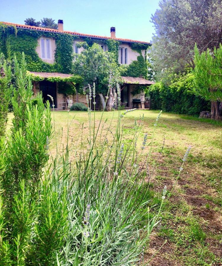 Agriturismo "Borgo Madonna Degli Angeli" - Charming Cottages In The Gardens ! Tocco da Casauria Dış mekan fotoğraf
