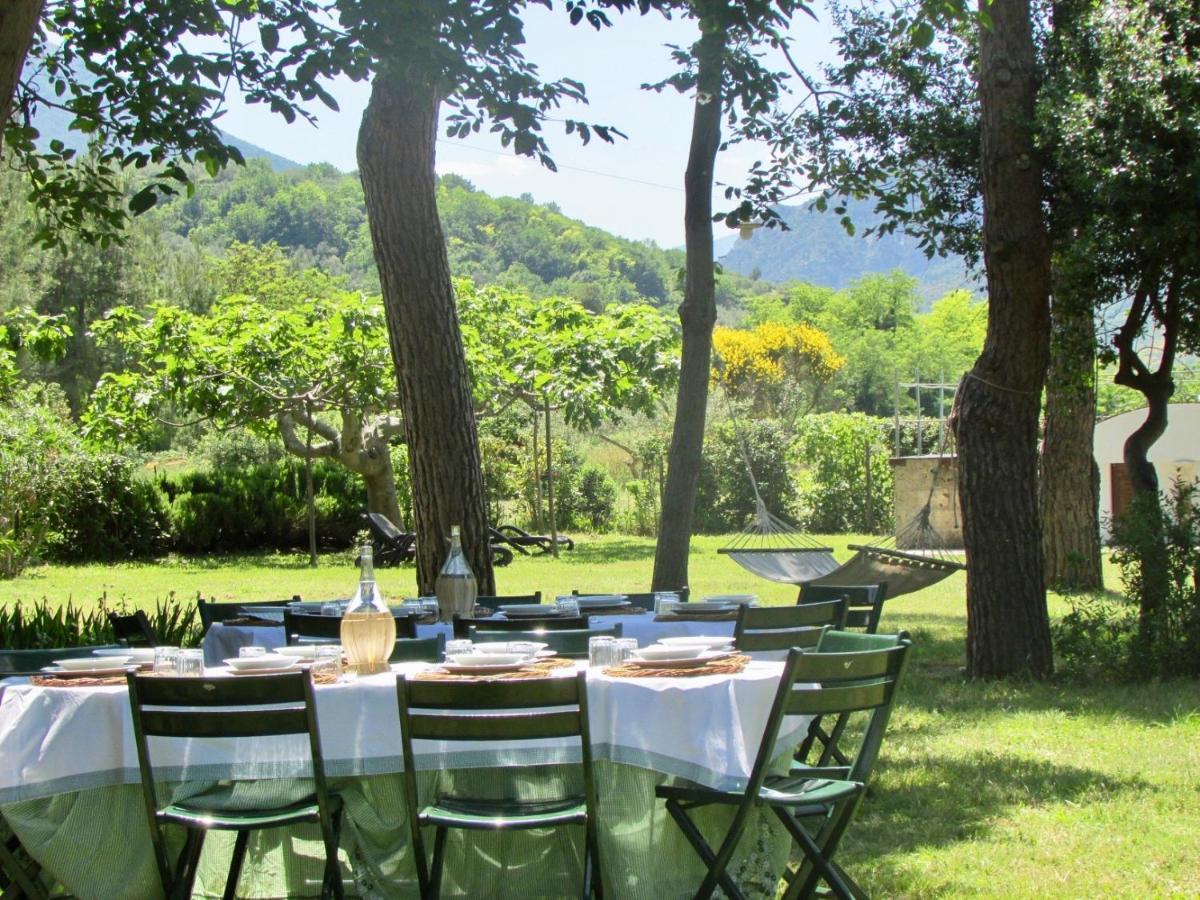 Agriturismo "Borgo Madonna Degli Angeli" - Charming Cottages In The Gardens ! Tocco da Casauria Dış mekan fotoğraf