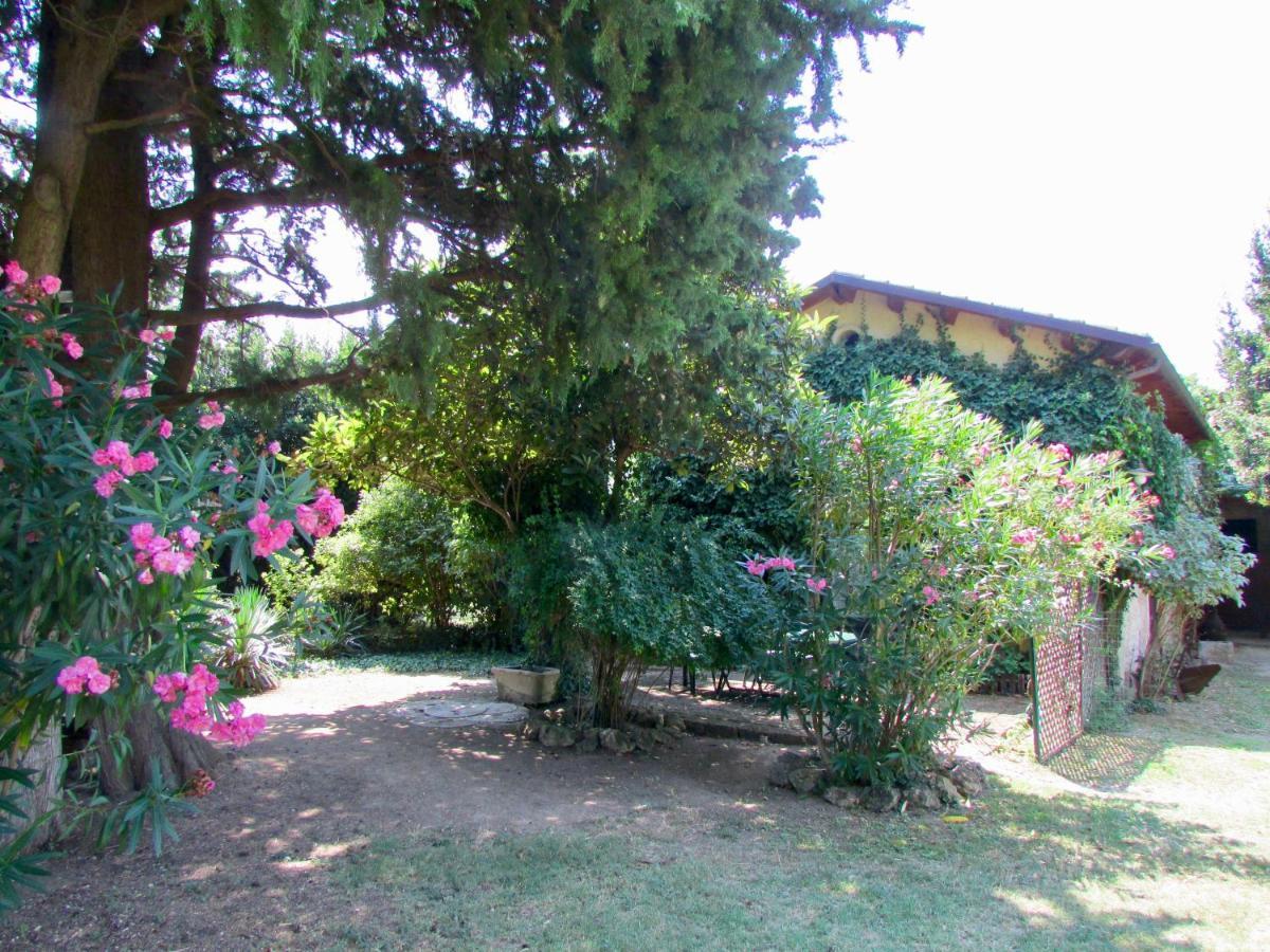 Agriturismo "Borgo Madonna Degli Angeli" - Charming Cottages In The Gardens ! Tocco da Casauria Dış mekan fotoğraf