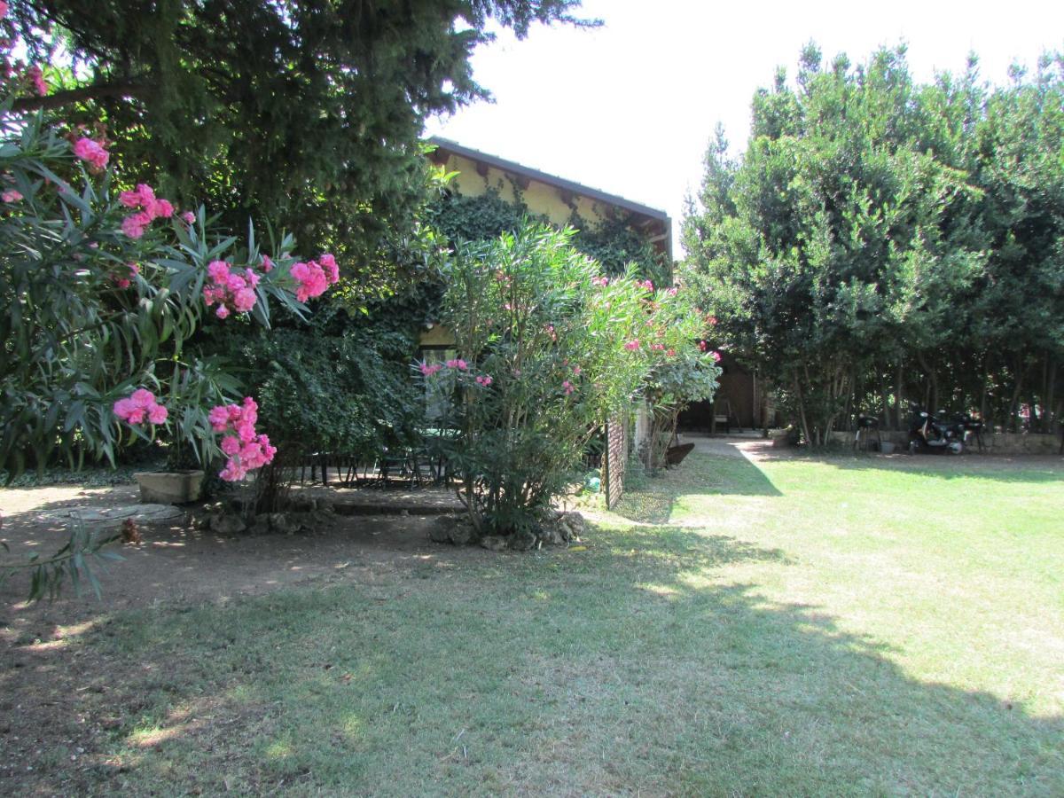 Agriturismo "Borgo Madonna Degli Angeli" - Charming Cottages In The Gardens ! Tocco da Casauria Dış mekan fotoğraf