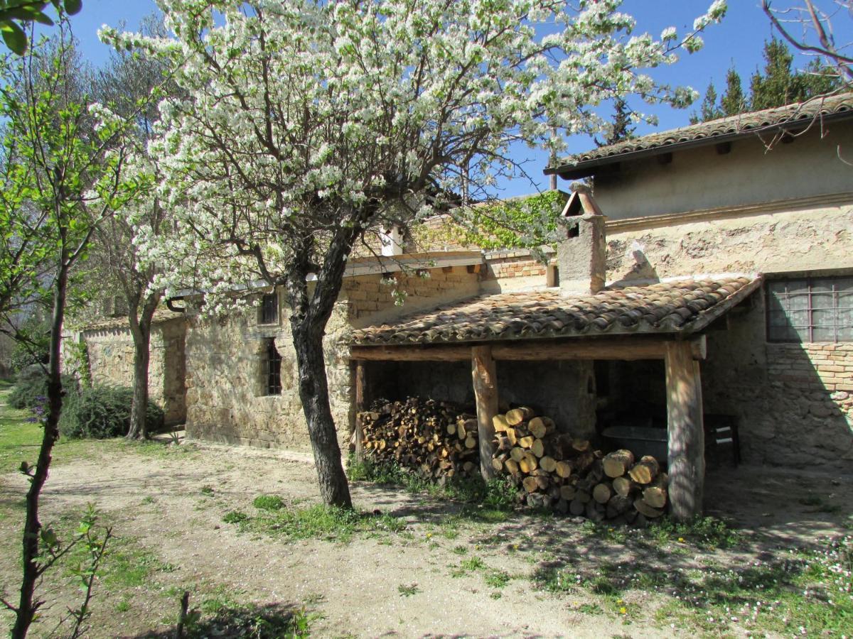Agriturismo "Borgo Madonna Degli Angeli" - Charming Cottages In The Gardens ! Tocco da Casauria Dış mekan fotoğraf